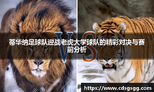 OD体育官网